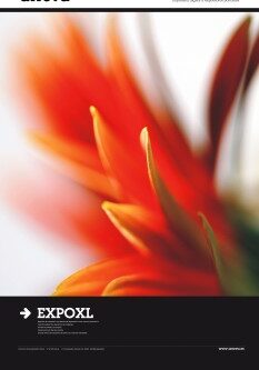 Expo XL 130×210