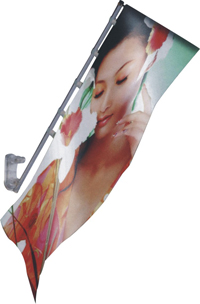 Expowindow flag